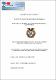 IAEN-011-2004.pdf.jpg